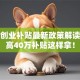深圳创业补贴最新政策解读：最高40万补贴这样拿！