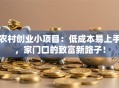 农村创业小项目：低成本易上手，家门口的致富新路子！