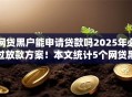 网贷黑户能申请贷款吗2025年必过放款方案！本文统计5个网贷黑户借钱口子能申请