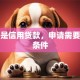 什么是信用贷款，申请需要什么条件