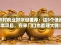 农村创业好项目推荐：这5个低成本项目，在家门口也能赚大钱！