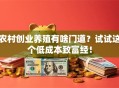 农村创业养殖有啥门道？试试这个低成本致富经！