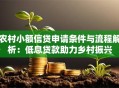 农村小额信贷申请条件与流程解析：低息贷款助力乡村振兴