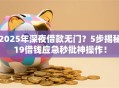 2025年深夜借款无门？5步揭秘19借钱应急秒批神操作！