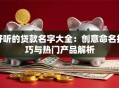 好听的贷款名字大全：创意命名技巧与热门产品解析