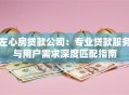 左心房贷款公司：专业贷款服务与用户需求深度匹配指南