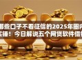 哪些口子不看征信的2025年圈内实锤！今日解说五个网贷软件借钱不看征信
