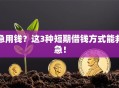 急用钱？这3种短期借钱方式能救急！