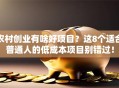 农村创业有啥好项目？这8个适合普通人的低成本项目别错过！