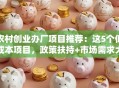 农村创业办厂项目推荐：这5个低成本项目，政策扶持+市场需求大，村民都说靠谱！
