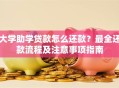 大学助学贷款怎么还款？最全还款流程及注意事项指南