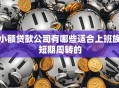 小额贷款公司有哪些适合上班族短期周转的