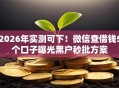 2026年实测可下！微信查借钱5个口子曝光黑户秒批方案