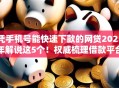 凭手机号能快速下款的网贷2025年解说这5个！权威梳理借款平台手机号快速到账