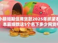 小额短期信用贷款2025年抓紧看！本篇细数这5个名下多少网贷申请贷款能通过