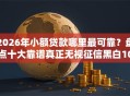 2026年小额贷款哪里最可靠？盘点十大靠谱真正无视征信黑白100%秒下网贷