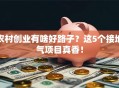 农村创业有啥好路子？这5个接地气项目真香！