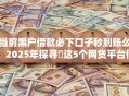 当前黑户借款必下口子秒到账么！2025年探寻​这5个网贷平台借钱秒到账