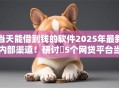 当天能借到钱的软件2025年最新内部渠道！研讨​5个网贷平台当天可贷款