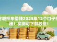 方城押车借钱2025年12个口子揭秘！实测可下款秒批！