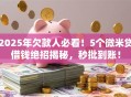 2025年欠款人必看！5个微米贷借钱绝招揭秘，秒批到账！