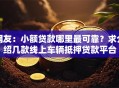 网友：小额贷款哪里最可靠？求介绍几款线上车辆抵押贷款平台