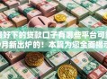 最好下的贷款口子有哪些平台可靠9月新出炉的！本篇为您全面揭示！