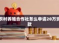 农村养殖合作社怎么申请20万贷款