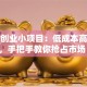 北京创业小项目：低成本高回报，手把手教你抢占市场！