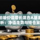 华泰柏瑞价值增长混合A基金深度分析：净值走势与持仓策略
