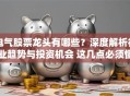 电气股票龙头有哪些？深度解析行业趋势与投资机会 这几点必须懂！