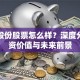 东软股份股票怎么样？深度分析投资价值与未来前景