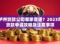 泸州贷款公司哪家靠谱？2023年贷款申请攻略及注意事项