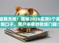 逾期无视！揭秘2026实测5个高炮口子，黑户半夜秒批低门槛！