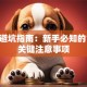 创业避坑指南：新手必知的10个关键注意事项