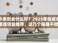 小本创业什么好？2025年低成本靠谱项目推荐，这几个稳赚不赔！