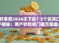 好易借2026还下款？5个实测口子揭秘：黑户秒批低门槛方案盘点