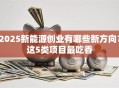 2025新能源创业有哪些新方向？这5类项目最吃香