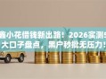 鑫小花借钱新出路！2026实测5大口子盘点，黑户秒批无压力！