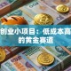 创新创业小项目：低成本高回报的黄金赛道