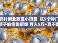农村创业致富小项目  这5个冷门路子偷偷告诉你 月入5万+真不难
