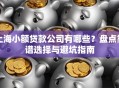 上海小额贷款公司有哪些？盘点靠谱选择与避坑指南