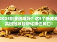 2025创业选啥好？这5个低成本高回报项目带你抓住风口！