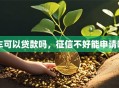 车可以贷款吗，征信不好能申请吗