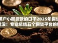 黑户小额贷款的口子2025年你试过没！专业总结五个网贷平台的借钱口子