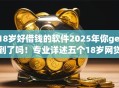 18岁好借钱的软件2025年你get到了吗!专业详述五个18岁网贷平台好贷款 18岁好借钱的软件2025年你get到了吗!专业详述五个18岁网贷平台好贷款