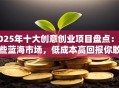 2025年十大创意创业项目盘点：这些蓝海市场，低成本高回报你敢试吗？