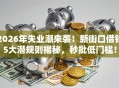 2026年失业潮来袭！新街口借钱5大潜规则揭秘，秒批低门槛！