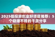 2025低投资创业好项目推荐：5个稳赚不赔的干货分享
