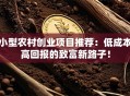 小型农村创业项目推荐：低成本高回报的致富新路子！